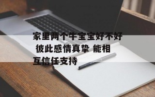 家里两个牛宝宝好不好 彼此感情真挚 能相互信任支持