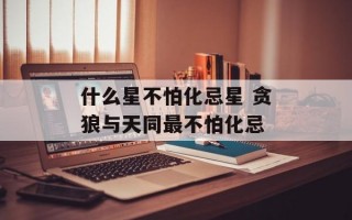 什么星不怕化忌星 贪狼与天同最不怕化忌