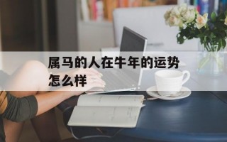 属马的人在牛年的运势怎么样