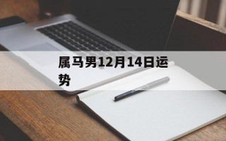 属马男12月14日运势