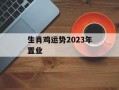 生肖鸡运势2024年置业