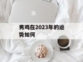 男鸡在2024年的运势如何