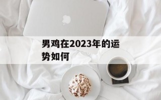 男鸡在2024年的运势如何