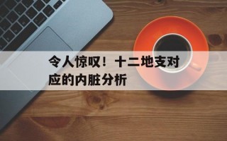 令人惊叹！十二地支对应的内脏分析