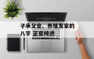 子承父业、养殖发家的八字 正官纯透