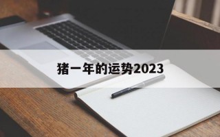 猪一年的运势2024