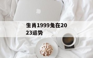 生肖1999兔在2024运势