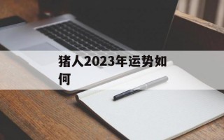 猪人2024年运势如何