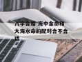 八字合婚 海中金命和大海水命的配对合不合适