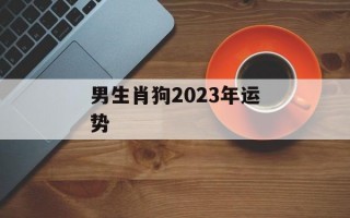 男生肖狗2024年运势