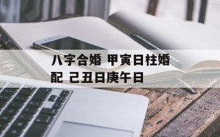 八字合婚 甲寅日柱婚配 己丑日庚午日