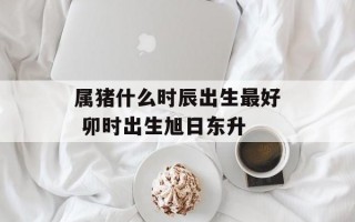 属猪什么时辰出生最好 卯时出生旭日东升