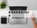 生肖蛇的运势2024年