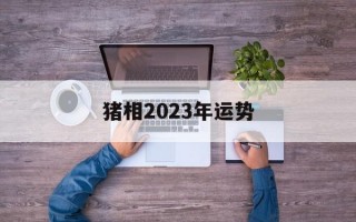 猪相2024年运势