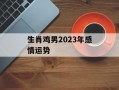 生肖鸡男2024年感情运势