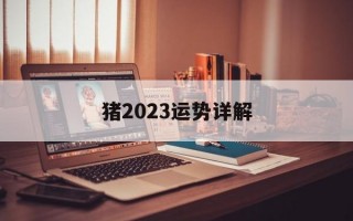 猪2024运势详解