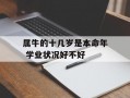 属牛的十几岁是本命年 学业状况好不好