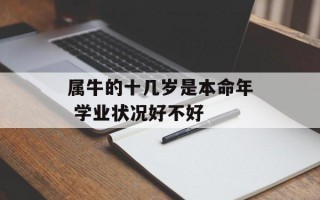 属牛的十几岁是本命年 学业状况好不好