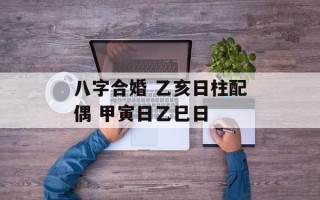 八字合婚 乙亥日柱配偶 甲寅日乙巳日