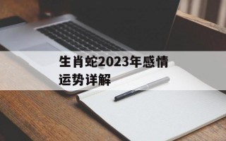 生肖蛇2024年感情运势详解