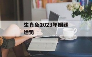 生肖兔2024年姻缘运势