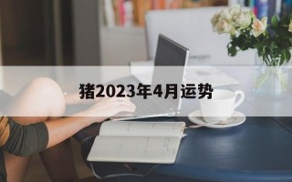 猪2024年4月运势