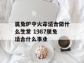 属兔炉中火命适合做什么生意 1987属兔适合什么事业