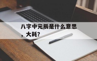 八字中元辰是什么意思，大耗？