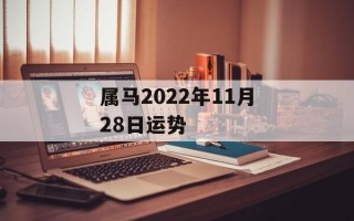 属马2024年11月28日运势