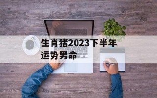 生肖猪2024下半年运势男命