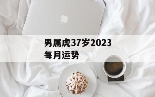 男属虎37岁2024每月运势