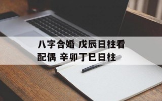 八字合婚 戊辰日柱看配偶 辛卯丁巳日柱