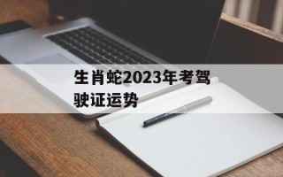 生肖蛇2024年考驾驶证运势