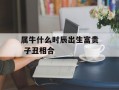 属牛什么时辰出生富贵 子丑相合