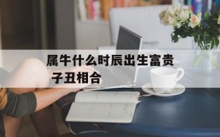 属牛什么时辰出生富贵 子丑相合