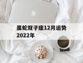 属蛇双子座12月运势2024年