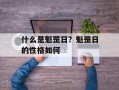 什么是魁罡日？魁罡日的性格如何