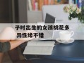 子时出生的女孩桃花多 异性缘不错