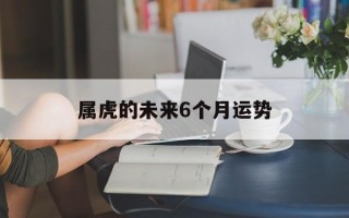 属虎的未来6个月运势