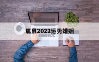 属鼠2024运势婚姻