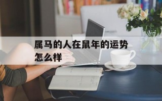 属马的人在鼠年的运势怎么样