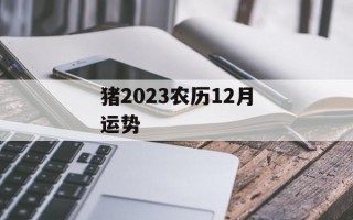 猪2024农历12月运势