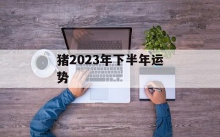 猪2024年下半年运势