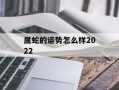 属蛇的运势怎么样2024