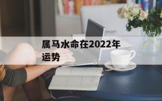 属马水命在2024年运势