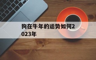 狗在牛年的运势如何2024年