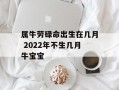 属牛劳碌命出生在几月 2024年不生几月牛宝宝