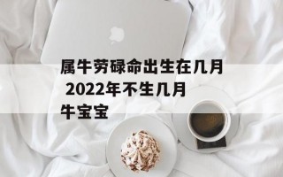 属牛劳碌命出生在几月 2024年不生几月牛宝宝