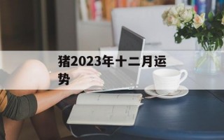 猪2024年十二月运势