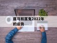 属马和属兔2024年的运势